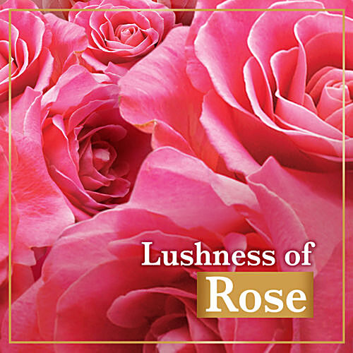 LUX Rose & Vitamin E Soap 150 g