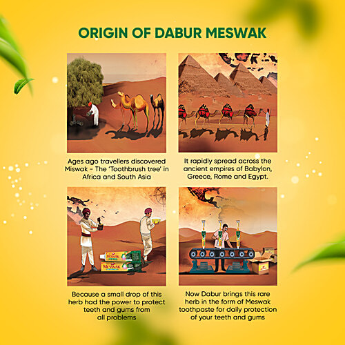DABUR MESWAK Toothpaste, with Free Toothbrush - For Complete Gum Care, Paraben & Fluoride Free 300g