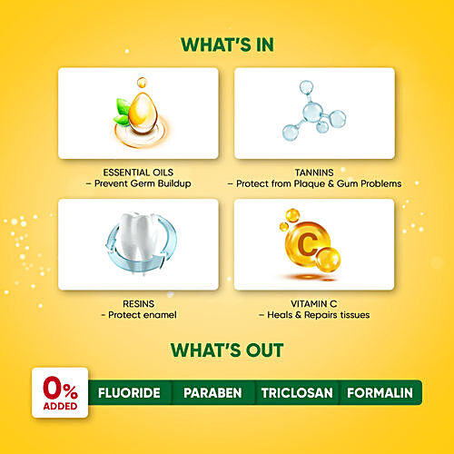 DABUR MESWAK Toothpaste, with Free Toothbrush - For Complete Gum Care, Paraben & Fluoride Free 300g