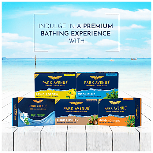 PARK AVENUE Bathing Soap - Cool Blue 125 g