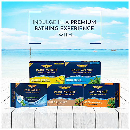 PARK AVENUE Bathing Soap - Luxury 125 g